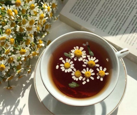 Gray Savannah Products